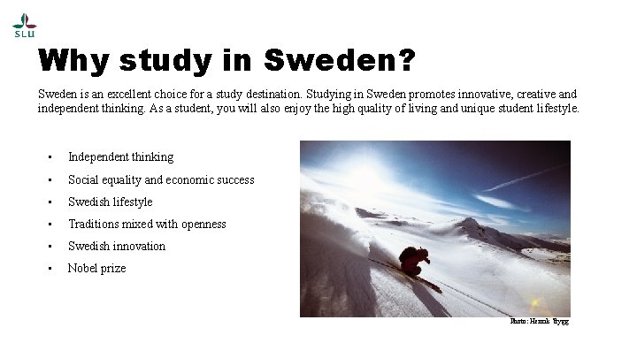 Why study in Sweden? Sweden is an excellent choice for a study destination. Studying