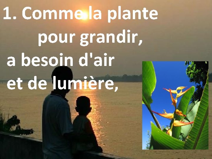 1. Comme la plante pour grandir, a besoin d'air et de lumière, 