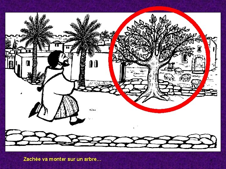 Zachée va monter sur un arbre… 5 