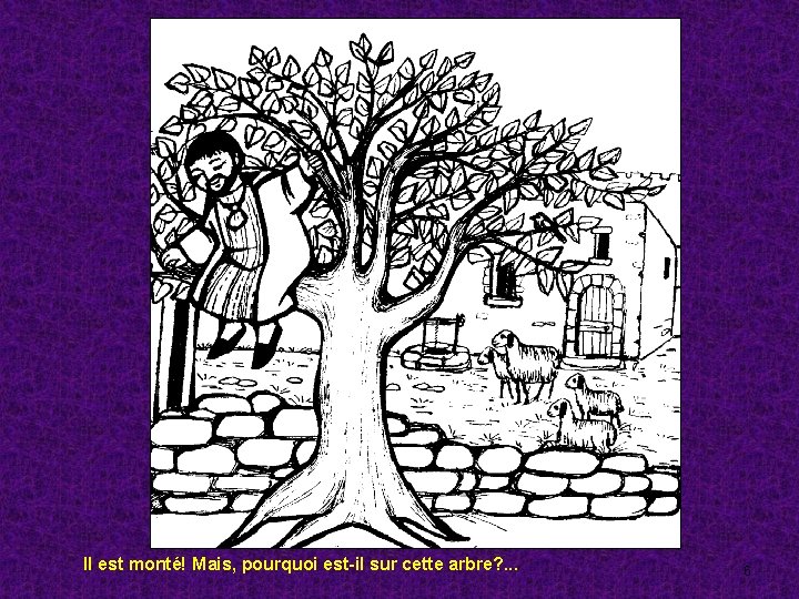 Il est monté! Mais, pourquoi est-il sur cette arbre? . . . 6 