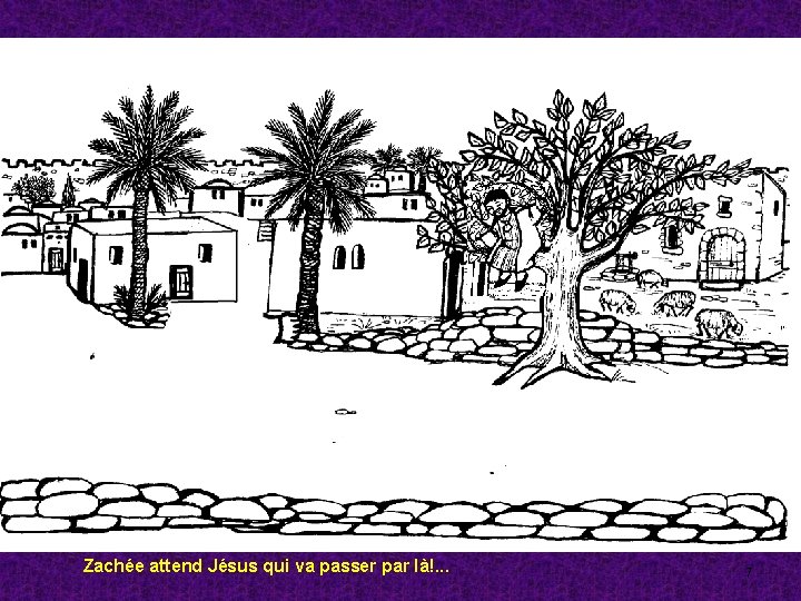 Zachée attend Jésus qui va passer par là!. . . 7 