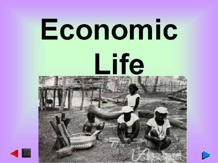 Economic Life 