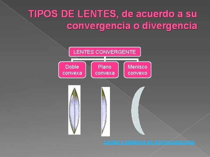 TIPOS DE LENTES, de acuerdo a su convergencia o divergencia LENTES CONVERGENTE Doble convexa