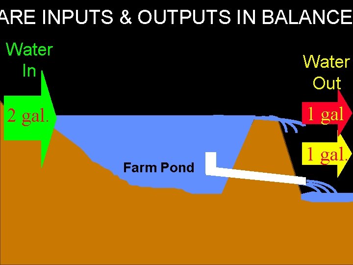 ARE INPUTS & OUTPUTS IN BALANCE Water In Water Out 1 gal. 2 gal.