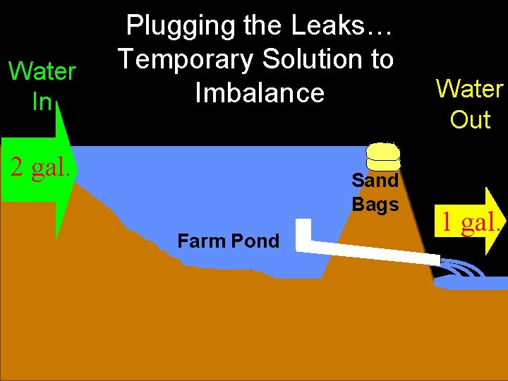 Water In Plugging the Leaks… Temporary Solution to Imbalance 2 gal. Sand Bags Farm