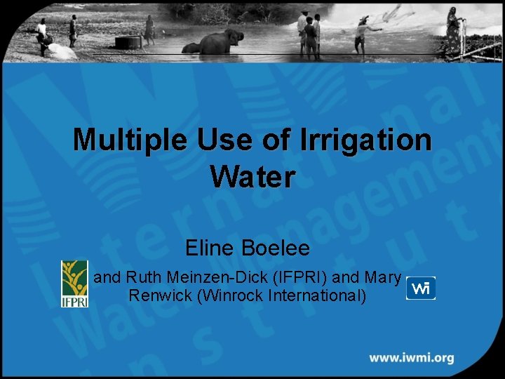 Multiple Use of Irrigation Water Eline Boelee and Ruth Meinzen-Dick (IFPRI) and Mary Renwick