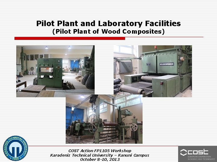 Pilot Plant and Laboratory Facilities (Pilot Plant of Wood Composites) COST Action FP 1105