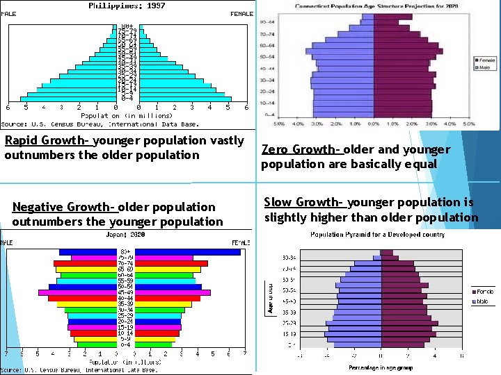 Rapid Growth- younger population vastly outnumbers the older population Negative Growth- older population outnumbers