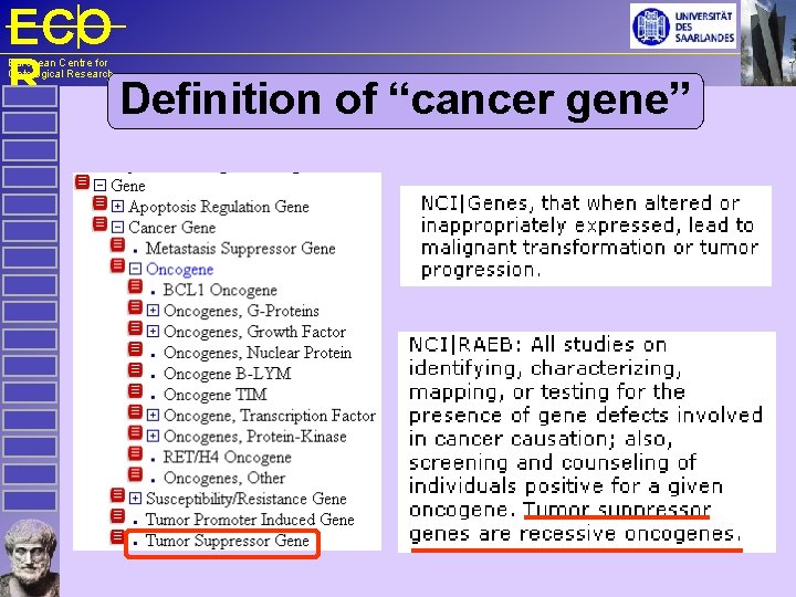 ECO R Definition of “cancer gene” European Centre for Ontological Research 