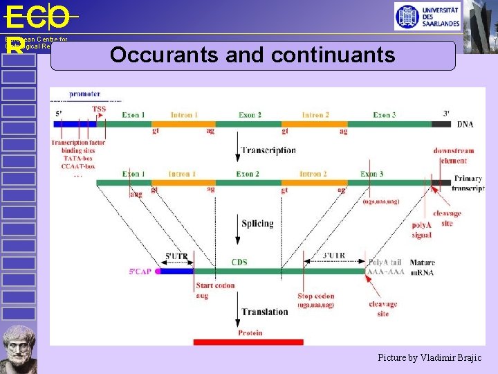 ECO R European Centre for Ontological Research Occurants and continuants Picture by Vladimir Brajic