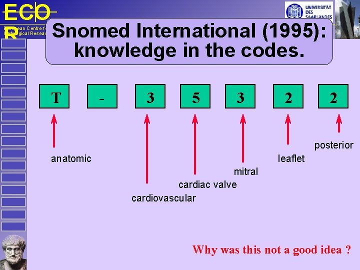 ECO R Snomed International (1995): European Centre for Ontological Research knowledge in the codes.