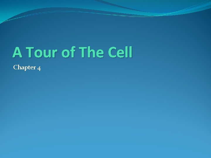 A Tour of The Cell Chapter 4 