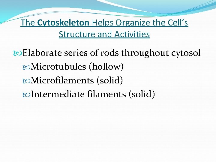 The Cytoskeleton Helps Organize the Cell’s Structure and Activities Elaborate series of rods throughout