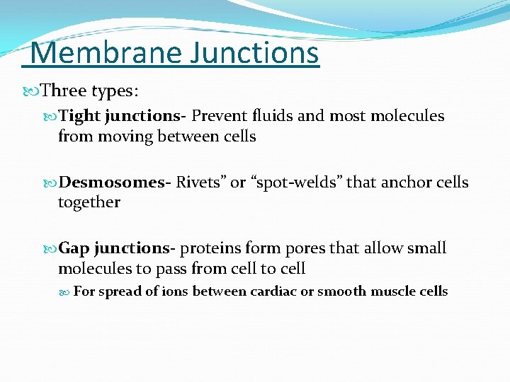 Membrane Junctions Three types: Tight junctions- Prevent fluids and most molecules from moving between