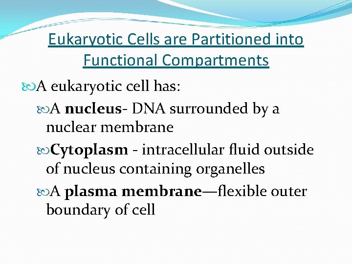 Eukaryotic Cells are Partitioned into Functional Compartments A eukaryotic cell has: A nucleus- DNA