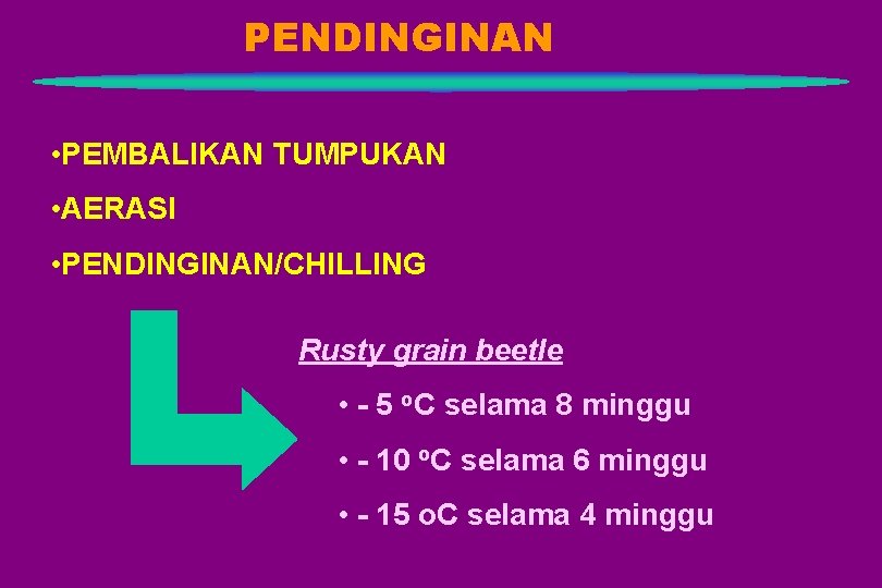 PENDINGINAN • PEMBALIKAN TUMPUKAN • AERASI • PENDINGINAN/CHILLING Rusty grain beetle • - 5