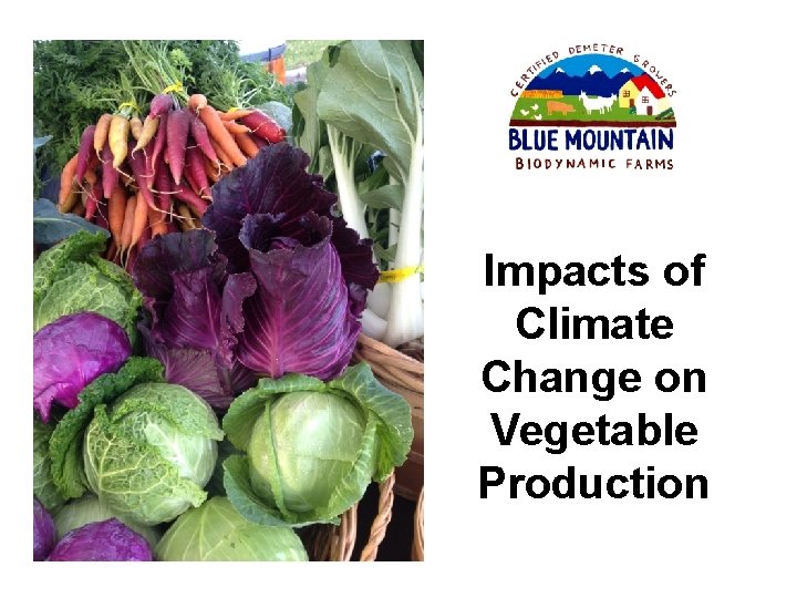 Impacts of Climate Change on Vegetable Production 