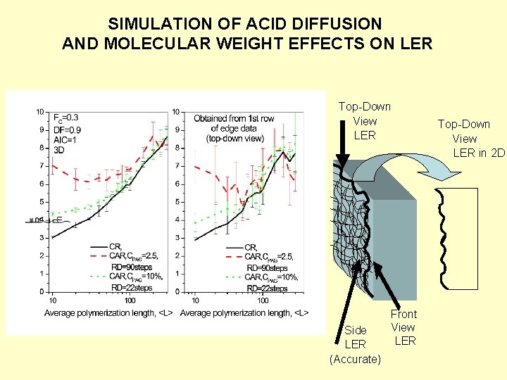 SIMULATION OF ACID DIFFUSION AND MOLECULAR WEIGHT EFFECTS ON LER Top-Down View LER Side