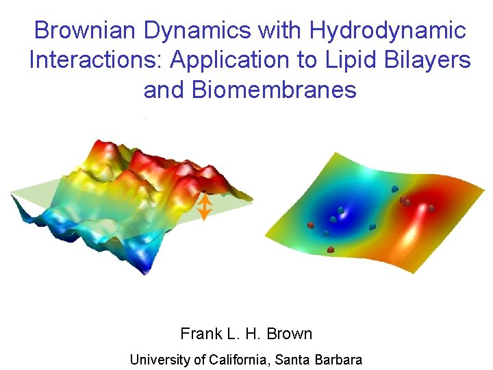 Brownian Dynamics with Hydrodynamic Interactions: Application to Lipid Bilayers and Biomembranes Frank L. H.