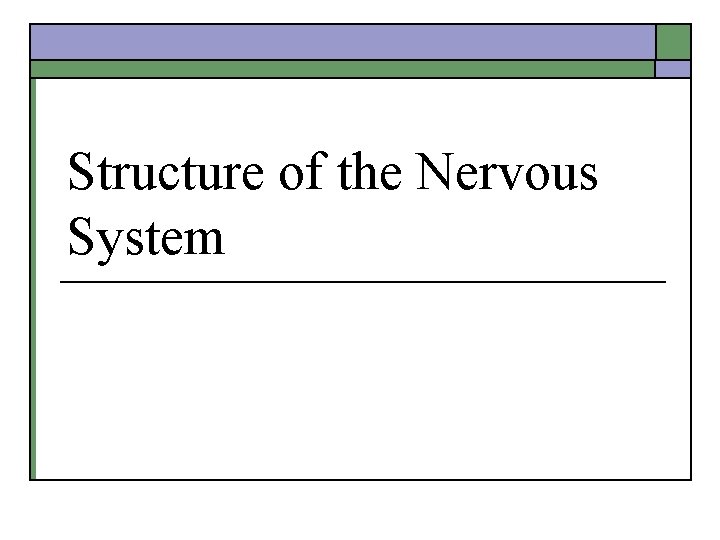Structure of the Nervous System Midterm Results Anatomical
