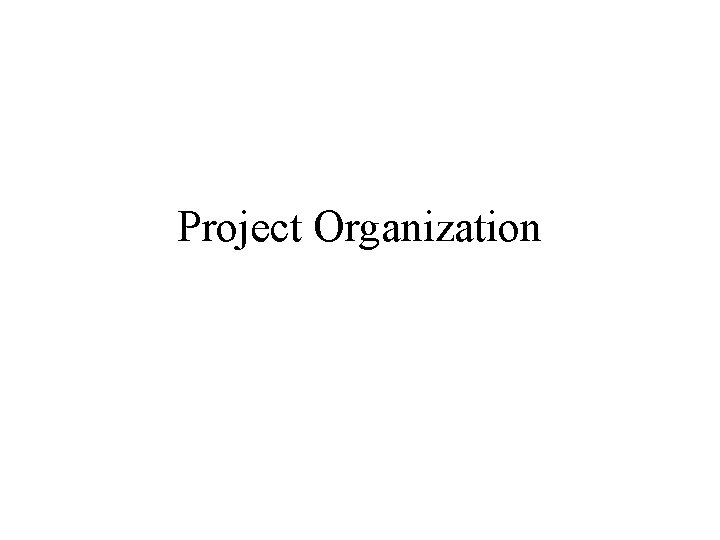 Project Organization 