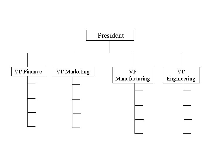 President VP Finance VP Marketing VP Manufacturing VP Engineering 