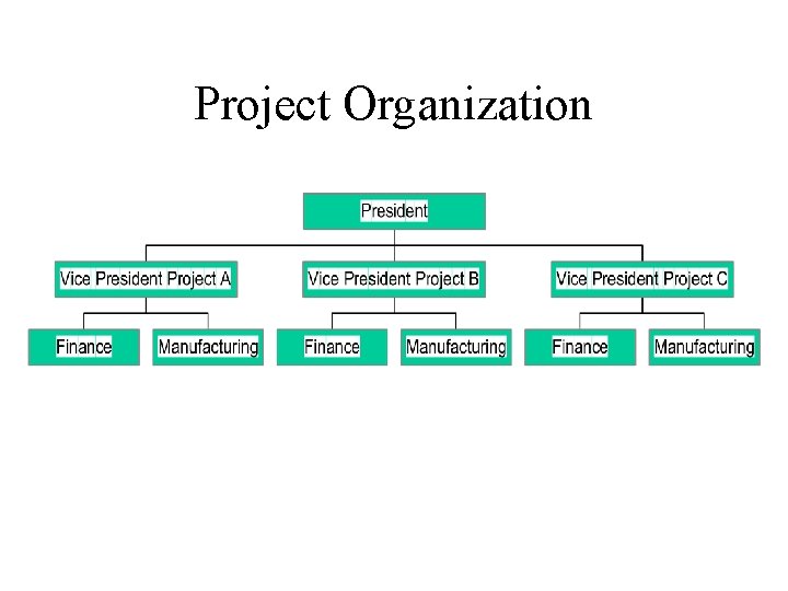 Project Organization 