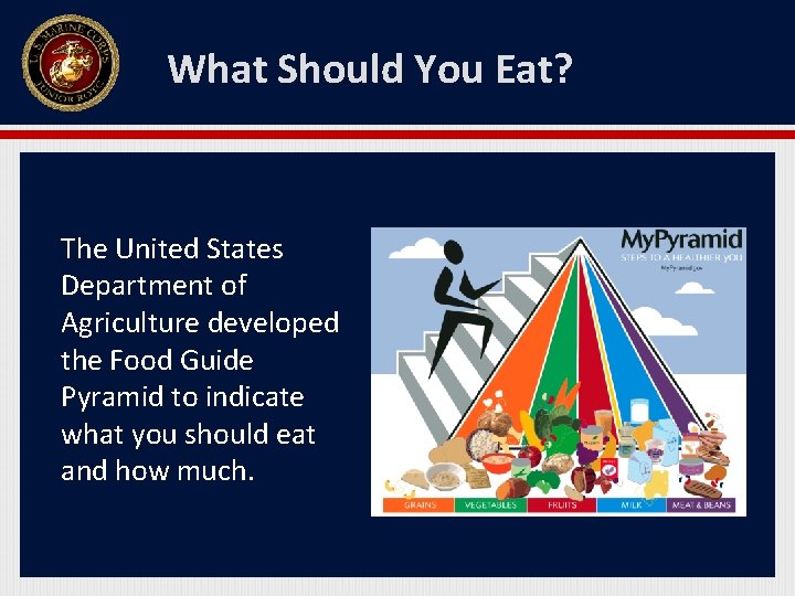 What Should You Eat? The United States Department of Agriculture developed the Food Guide