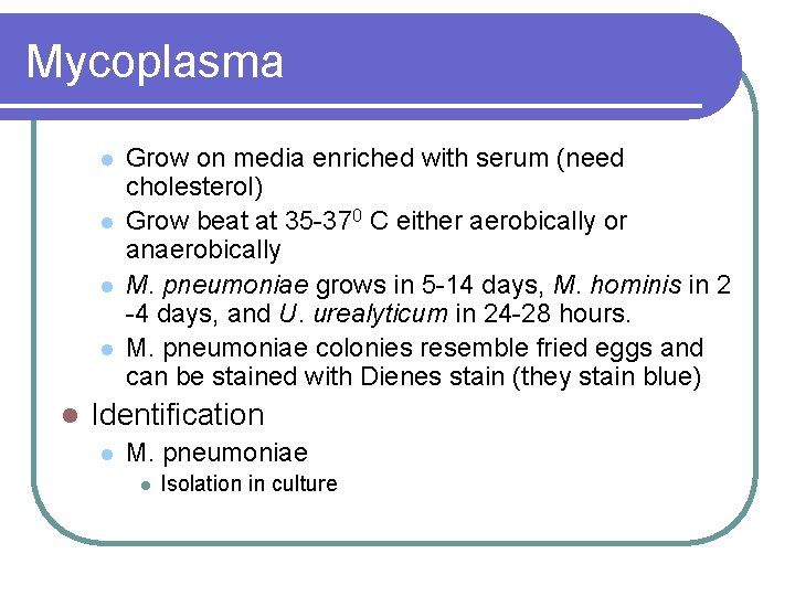 Mycoplasma l l l Grow on media enriched with serum (need cholesterol) Grow beat