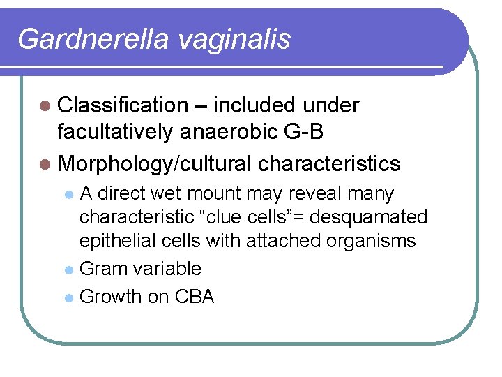 Gardnerella vaginalis l Classification – included under facultatively anaerobic G-B l Morphology/cultural characteristics A