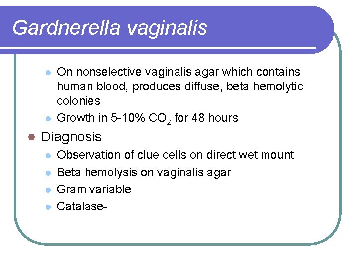 Gardnerella vaginalis l l l On nonselective vaginalis agar which contains human blood, produces