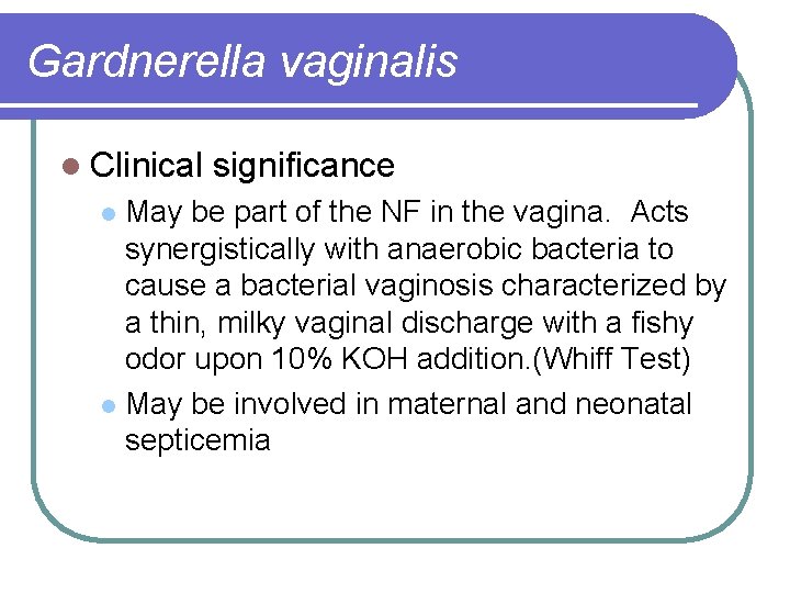Gardnerella vaginalis l Clinical significance May be part of the NF in the vagina.