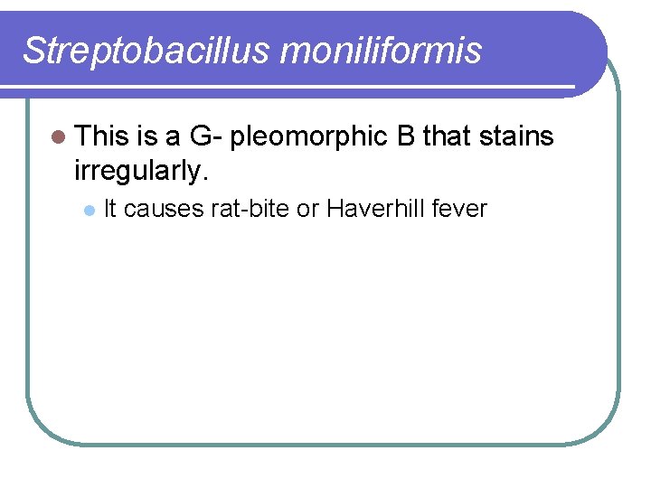 Streptobacillus moniliformis l This is a G- pleomorphic B that stains irregularly. l It