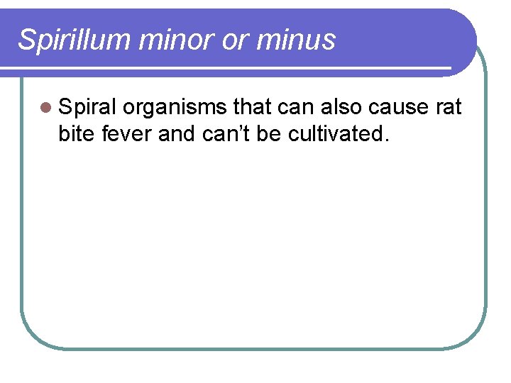 Spirillum minor or minus l Spiral organisms that can also cause rat bite fever