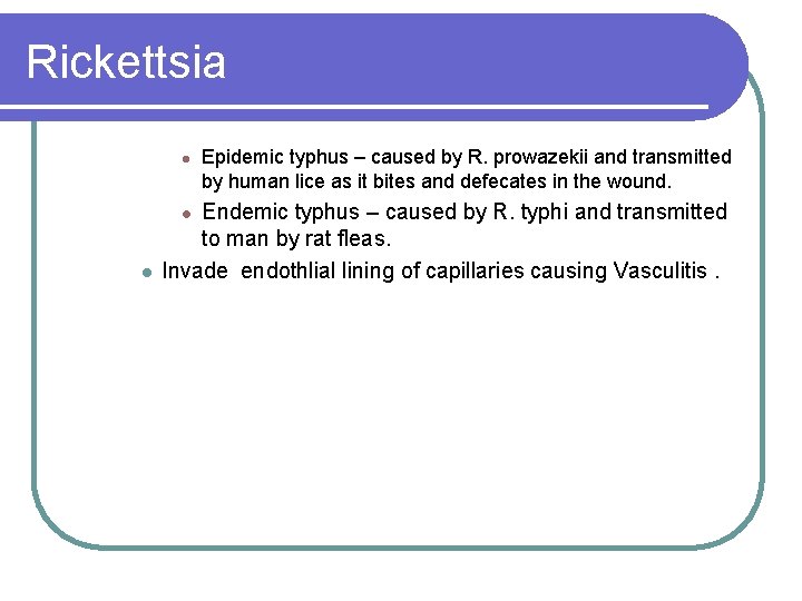 Rickettsia l Endemic typhus – caused by R. typhi and transmitted to man by