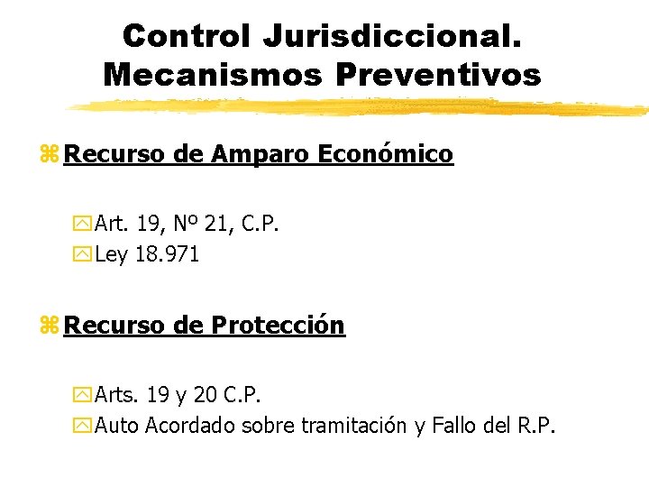 Control Jurisdiccional. Mecanismos Preventivos z Recurso de Amparo Económico y. Art. 19, Nº 21,