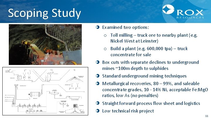 Scoping Study Examined two options: o Toll milling – truck ore to nearby plant