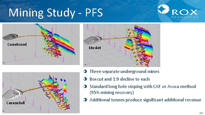 Mining Study - PFS Camelwood Musket Three separate underground mines Boxcut and 1: 9