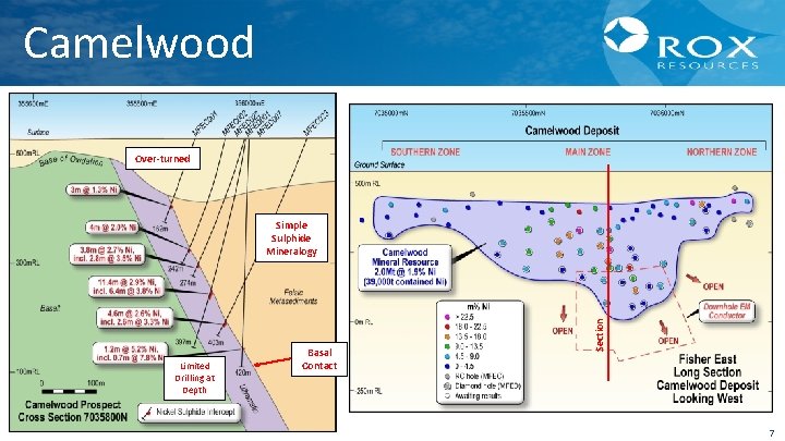 Camelwood Over-turned Limited Drilling at Depth Basal Contact Section Simple Sulphide Mineralogy 7 