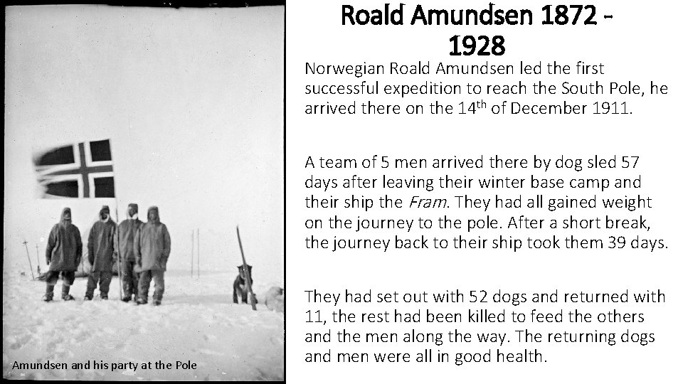 Roald Amundsen 1872 1928 Norwegian Roald Amundsen led the first successful expedition to reach