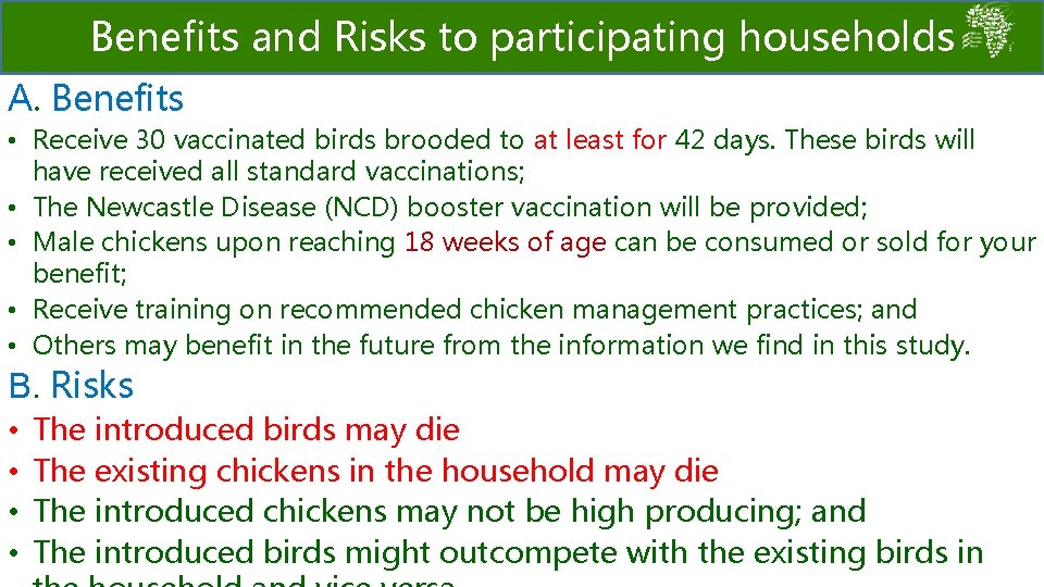 Benefits and Risks to participating households A. Benefits • Receive 30 vaccinated birds brooded