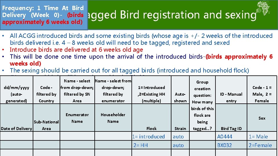 Frequency: 1 Time At Bird Delivery (Week 0)- (birds approximately 6 weeks old) Tagged