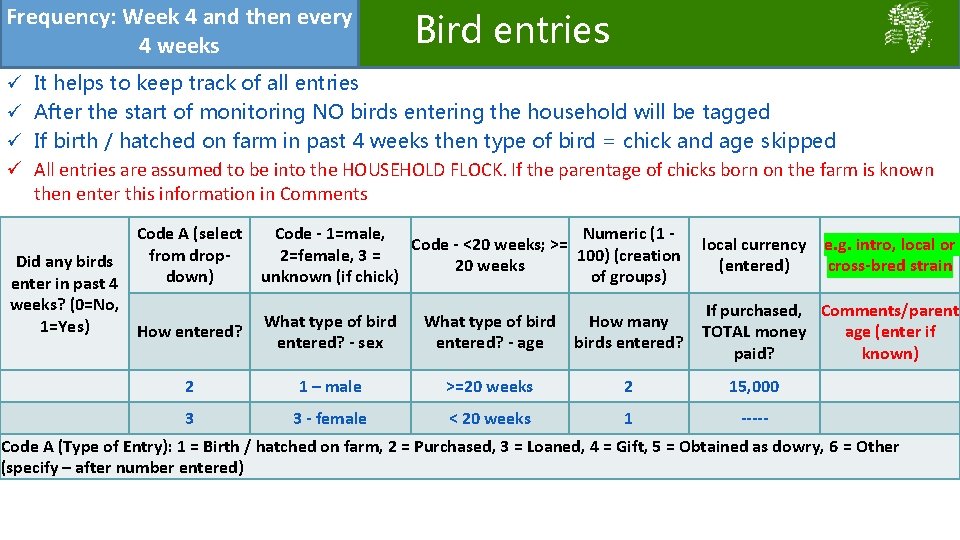 Frequency: Week 4 and then every Bird entries 4 weeks ü ü It helps