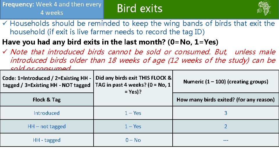 Frequency: Week 4 and then every 4 weeks Bird exits ü Households should be