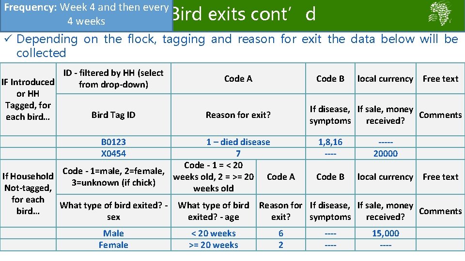 Frequency: Week 4 and then every Bird exits cont’d 4 weeks ü Depending on