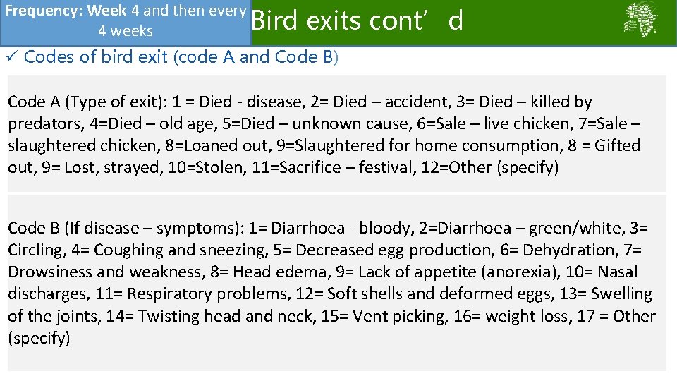 Frequency: Week 4 and then every Bird exits cont’d 4 weeks ü Codes of