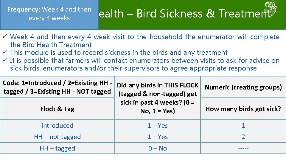 Frequency: Week 4 and then Health – Bird Sickness & Treatment every 4 weeks