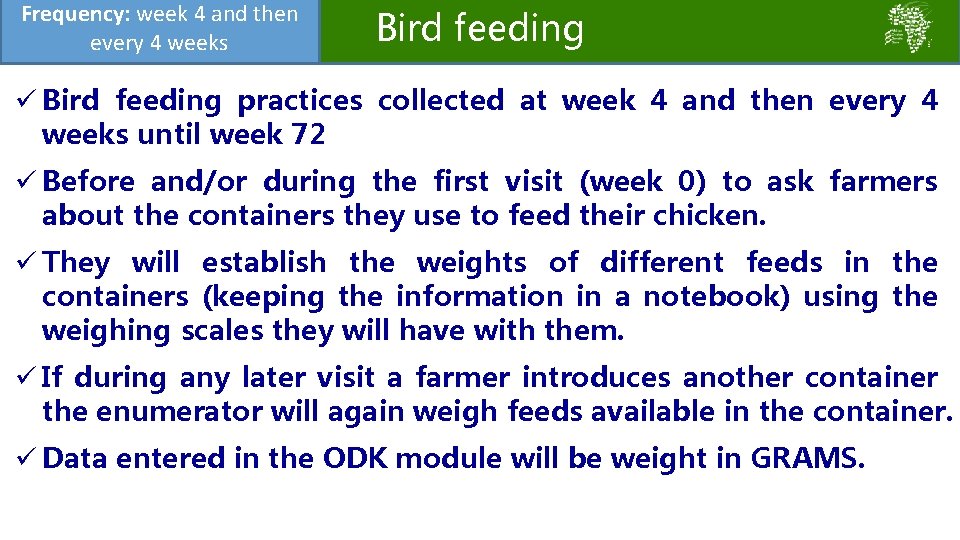 Frequency: week 4 and then every 4 weeks Bird feeding ü Bird feeding practices