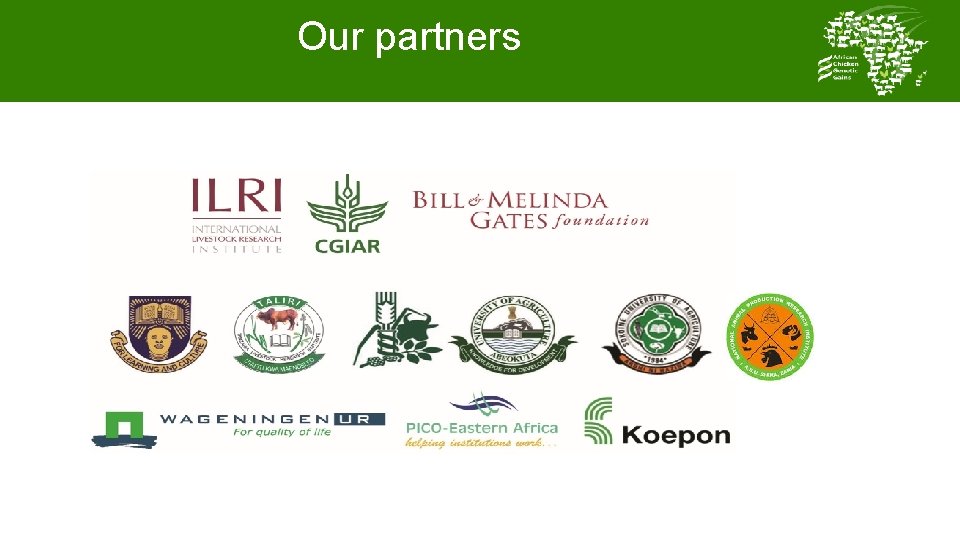 Our partners 