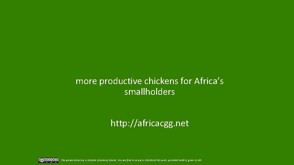 more productive chickens for Africa’s smallholders http: //africacgg. net The presentation has a Creative